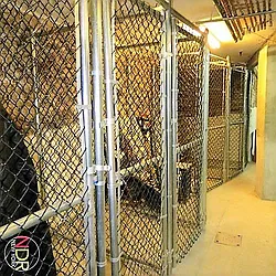 Rented by Next Door Realty NYC