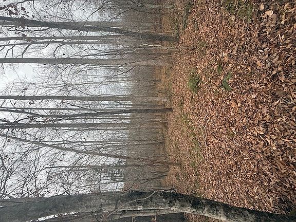 5th image of Paradise Rd