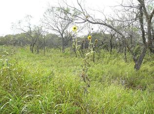 909 Shady Oaks Dr, Bridgeport, TX 76426