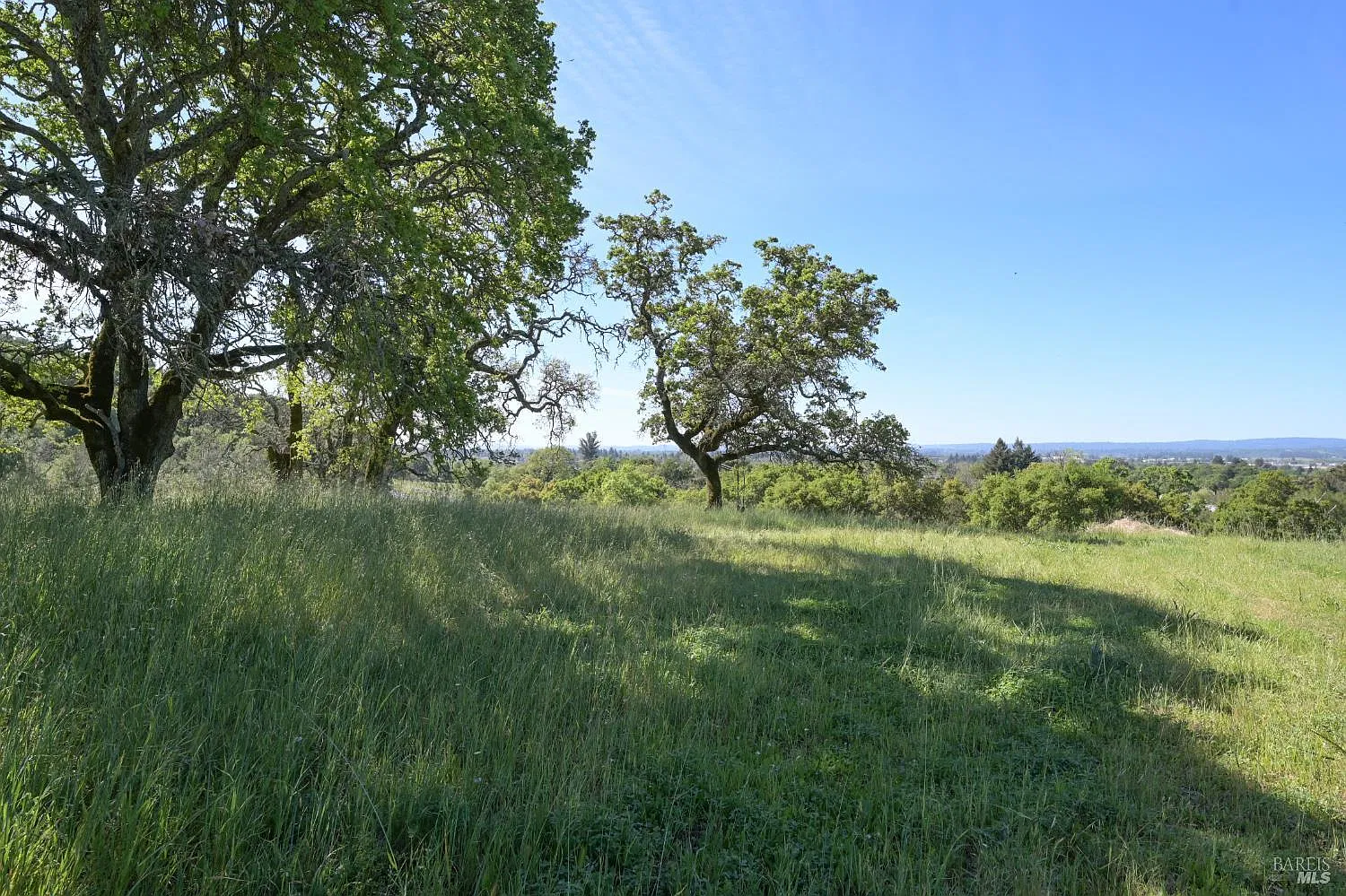 4525 Shiloh Ridge - Photo 10