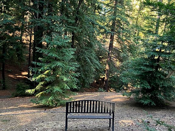 Shared outdoor space, part of 20 acre parcel with walking trails