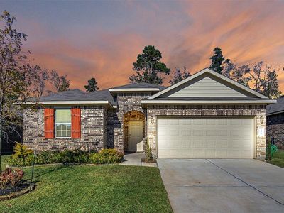 11514 Castle Nugent Ct, Conroe, TX, 77304