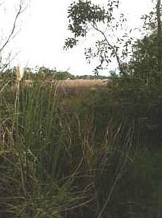 2nd image of 3352 Mills Bayou Dr