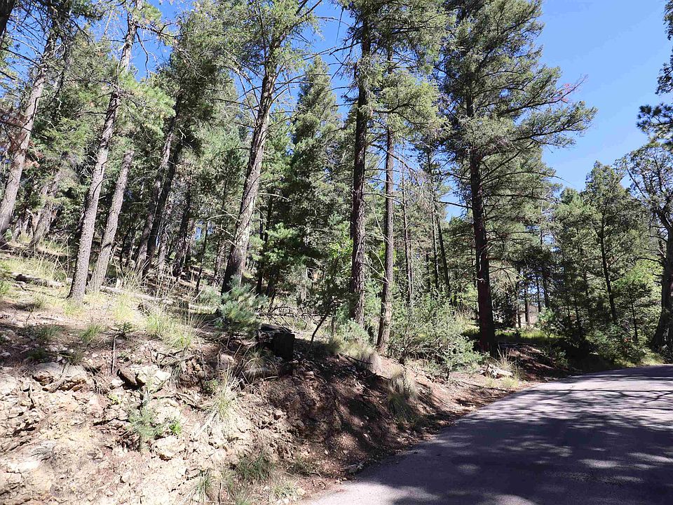 96 Silver Fox Trl 2, Mayhill, NM 88339 Zillow