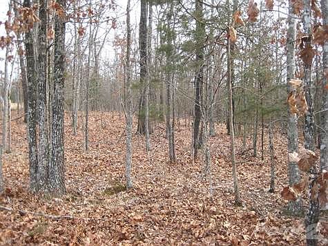 Nicely Wooded
