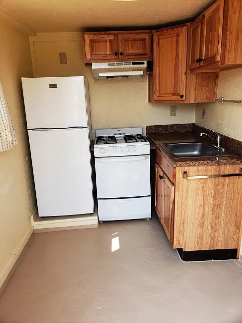 1 bed, 1.0 bath, 461 sqft, $950 — Photo 2