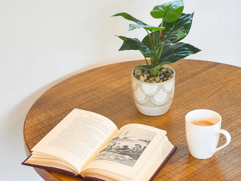 Reading Area