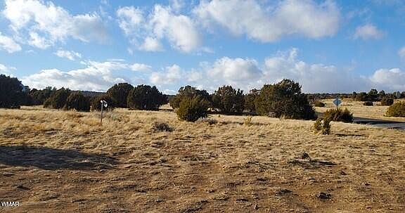 4th image of 63 County Road 8019
