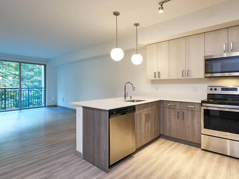 Kitchen and Living Area with Hard Surface Flooring