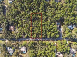 1388 W Redding St, Hernando, FL 34442