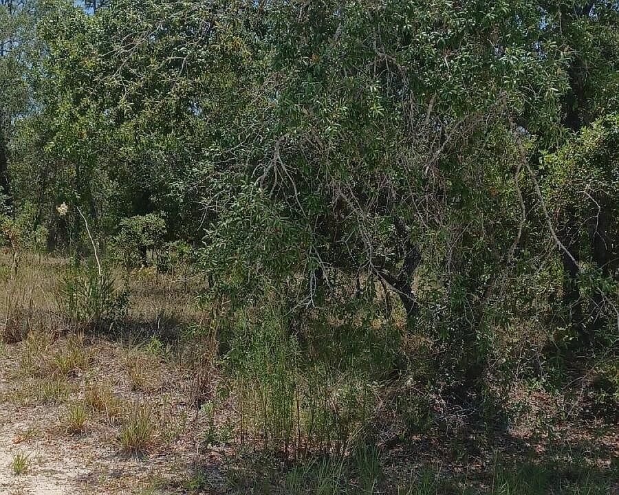 2nd image of 0 Hawley Rd