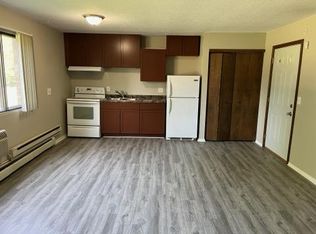 220 1st Ave E #8, Milltown, WI 54858