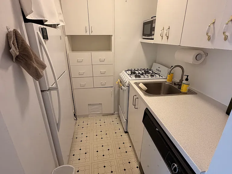 425 E 63rd St #E10K — Photo 7