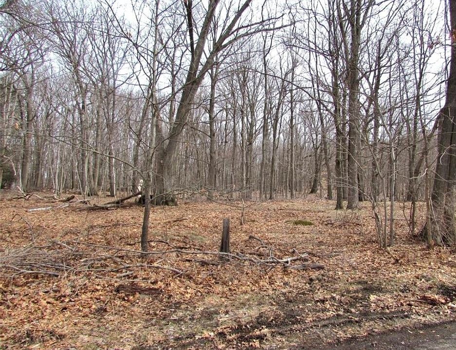 1st image of 39 Forest St