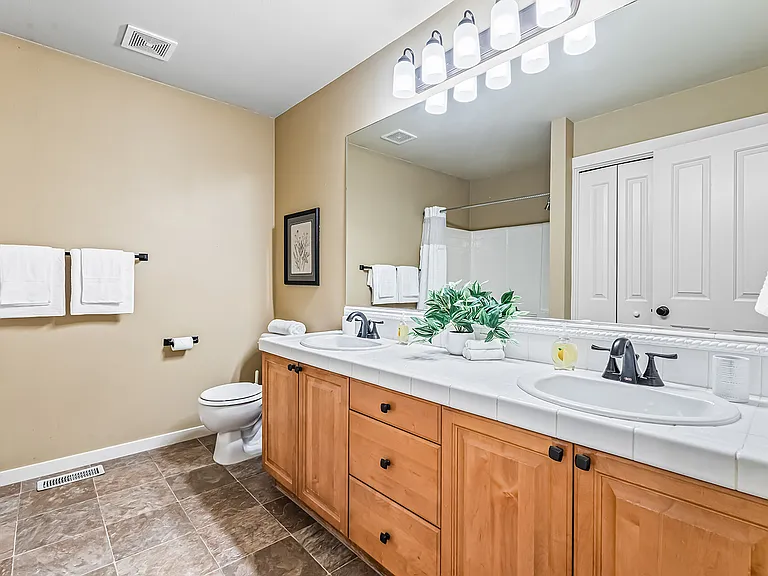 246 W Colchester Dr — Photo 42