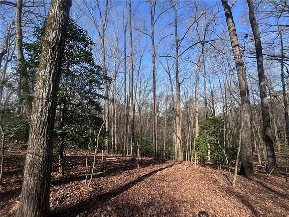 5th image of 0 Bible Baptist Rd #11