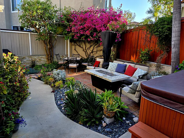 Back yard