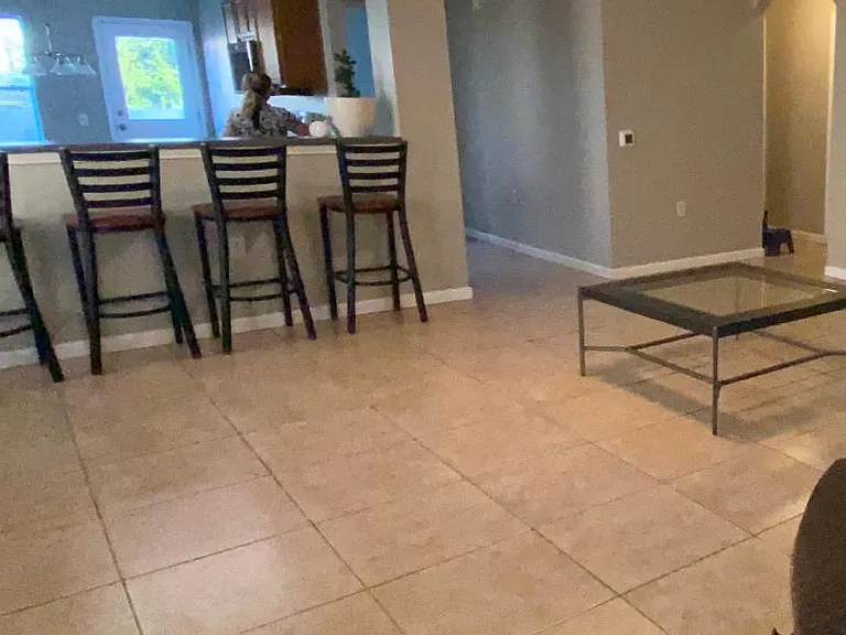 1429 Coriander Dr — Photo 7