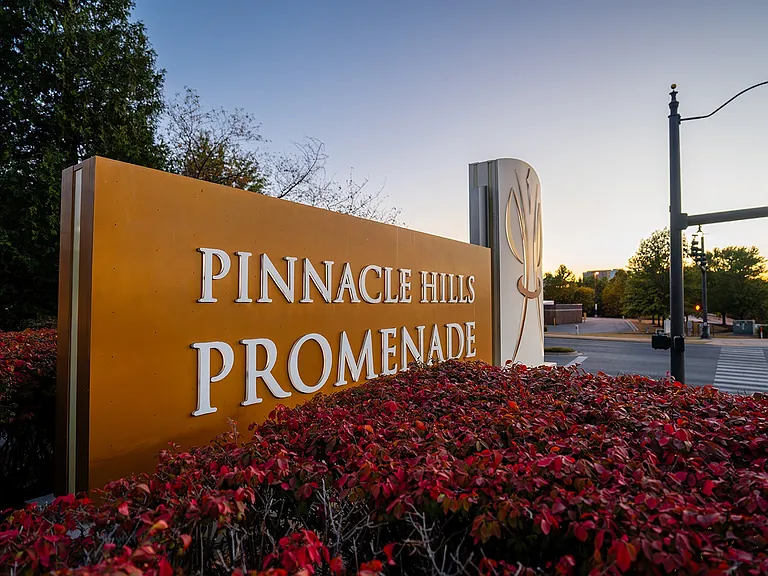 Pinnacle Heights — Photo 53