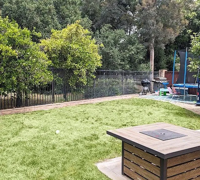 29713 Nandina Dr — Photo 38