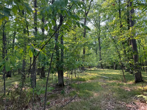 81871 Schoumaker Rd, Willow River, MN 55795