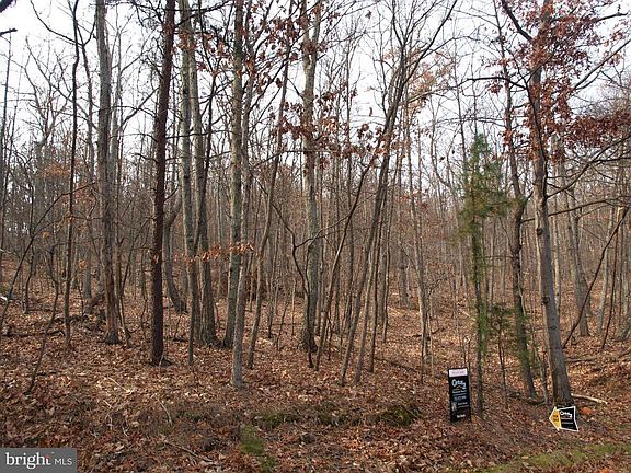 Paved Roads to reach Property