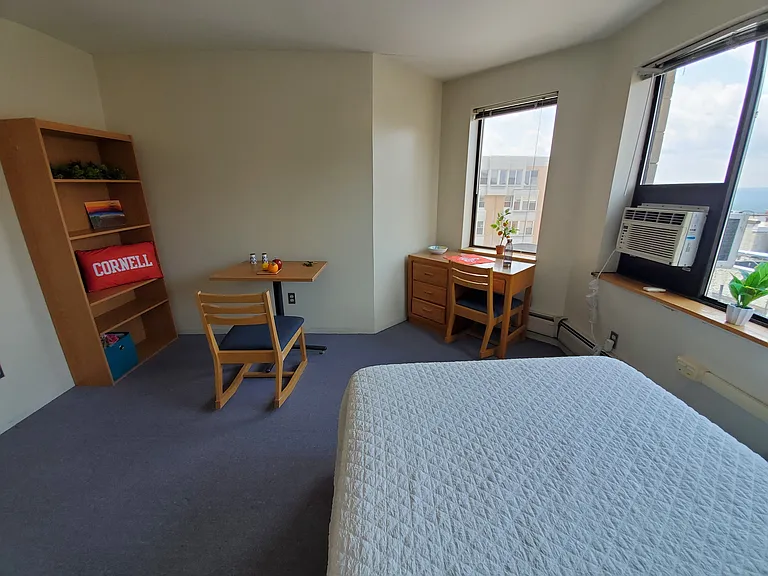 Collegetown Court, 208 Dryden Road — Photo 48