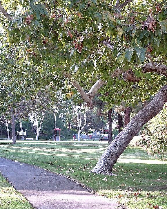 Park - right next door