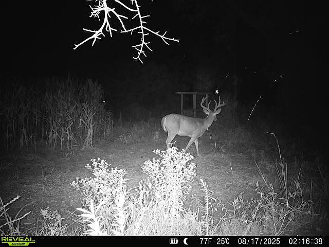 1st image of 3625 Sylvester Hwy