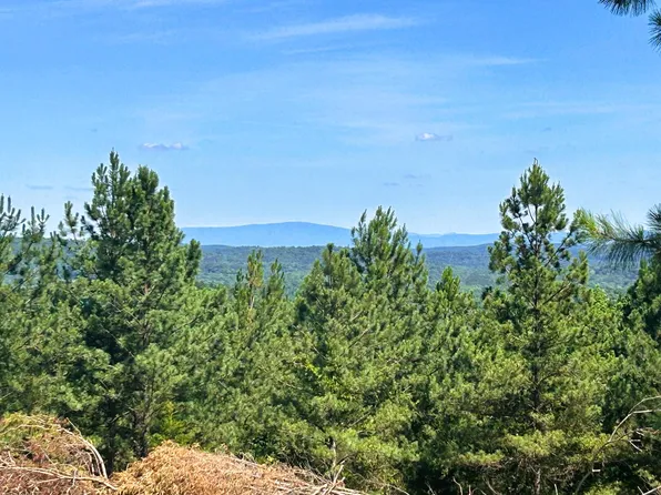 15B-3 Charles Rd, Decatur, TN 37322