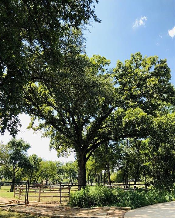1st image of 6020 Bridgecreek Way Lot 6
