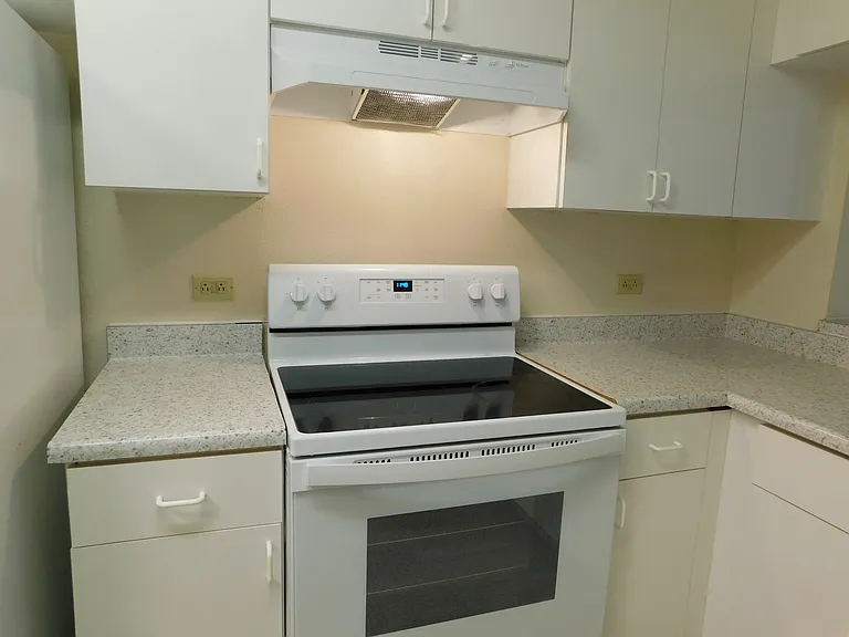 Smooth-top range, new range hood.