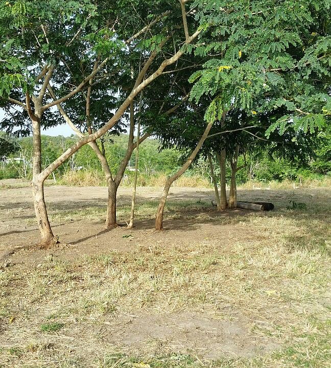 1st image of CARR116 Urb. Estancias Del Parra