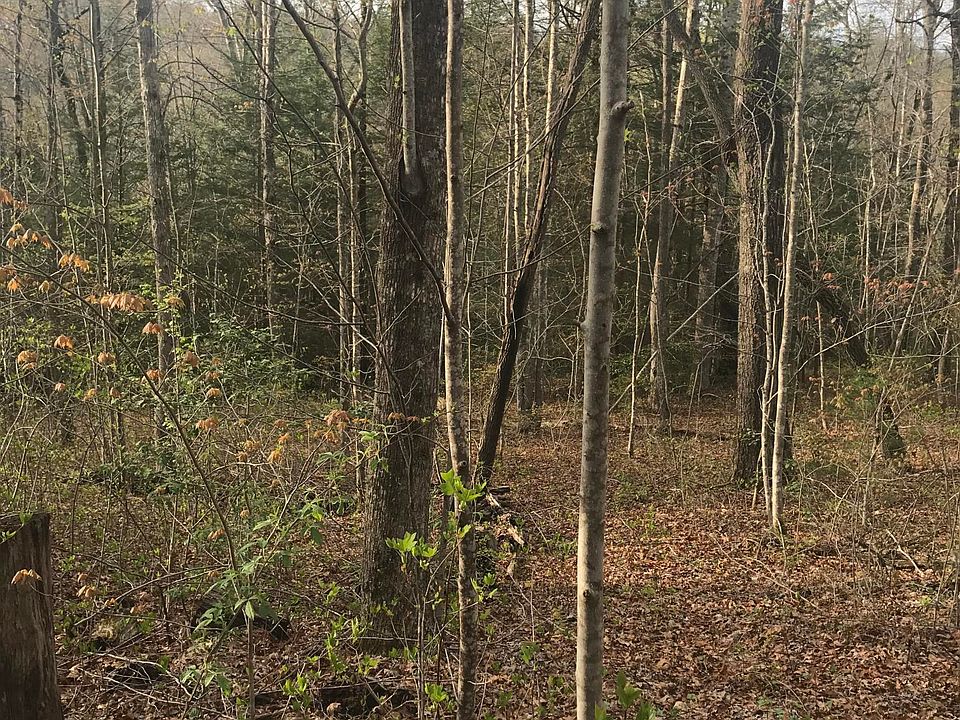 1st image of 0 Brock Creek Trl #19