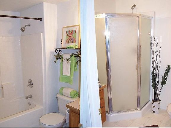 Main and Master Baths