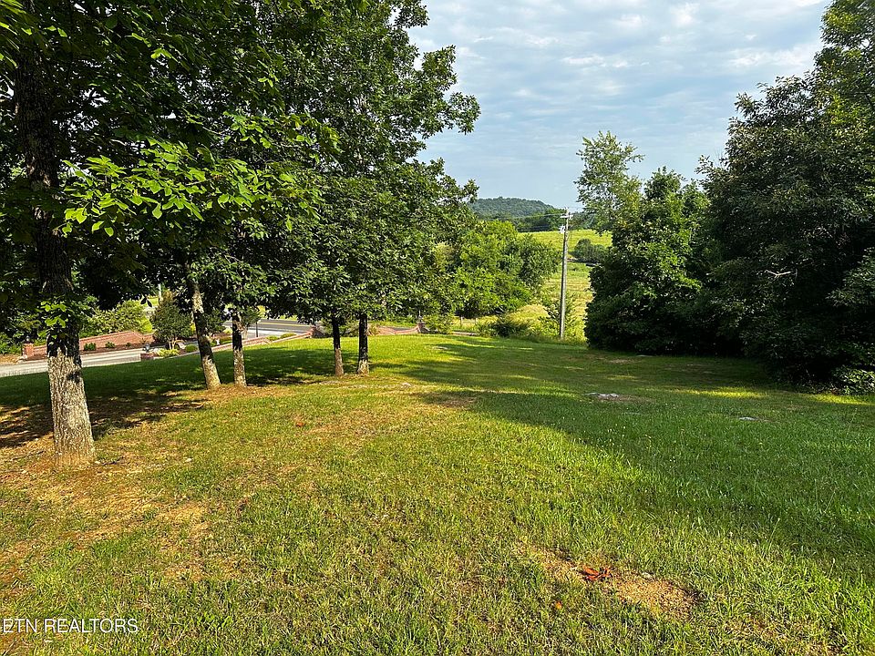 1st image of Buckhead Tr White Pne