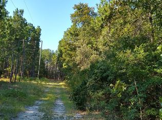 356 Kyzer Rd, Lexington, SC 29073