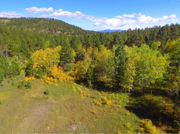 Elliot Rd, Custer, SD 57730