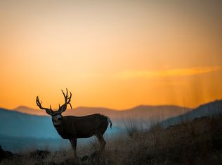 44625 Wild Horse Island Ln, Dayton, MT 59914