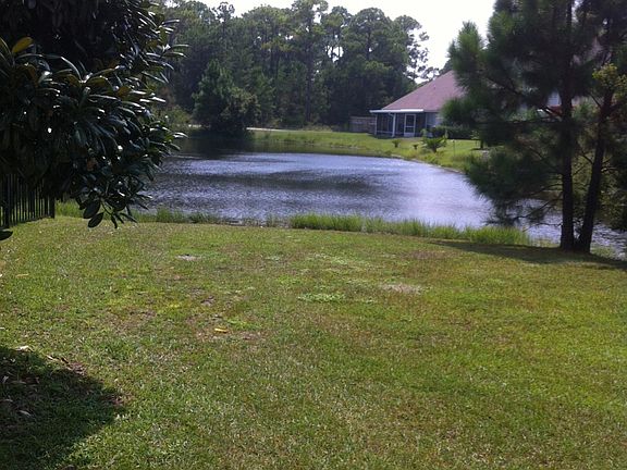 Back yard view