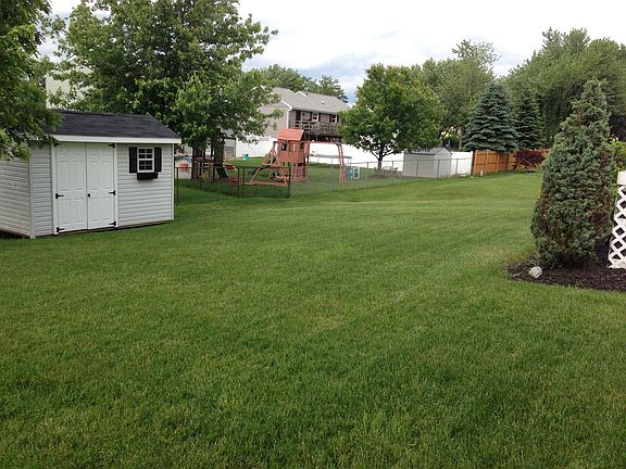 Yard and Shed
