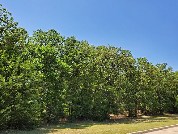 Trees, trees, trees