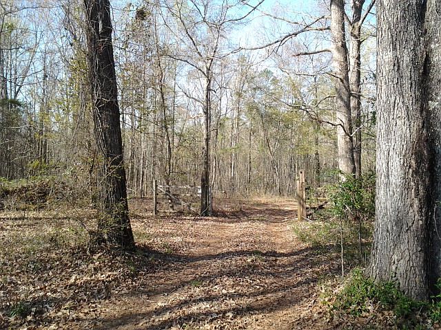 2nd image of 188 Lee Road 279