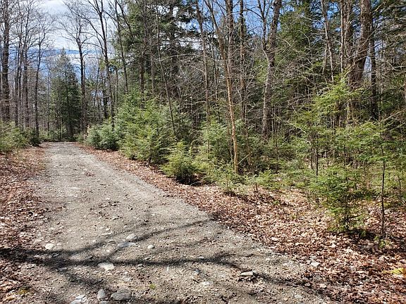 3rd image of 1.3 ac Off Barrows Lake Road