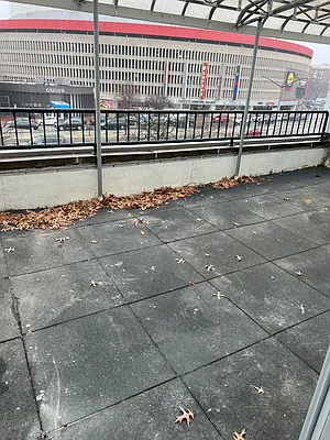 Rented by Astro Realty Brokerage LLC | media 6