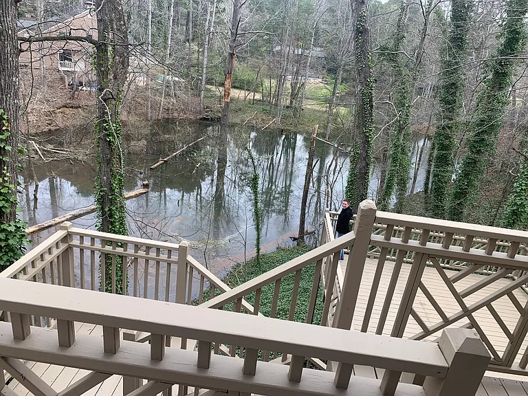 Backyard View