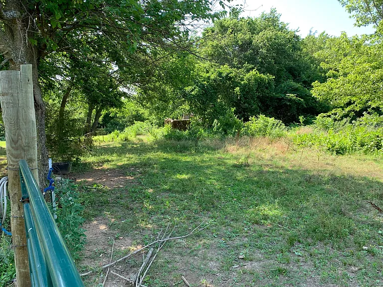 19248 Newton Rd — Photo 24