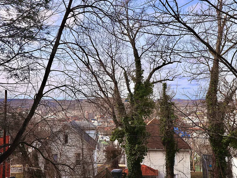 512 Pearl Ave — Photo 21