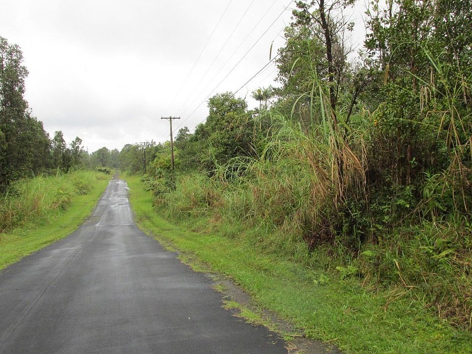 2nd image of Anthurium St Lot 8194