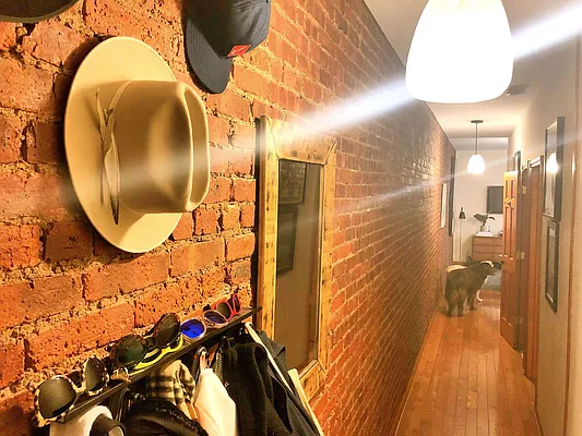 Rented by Rapid Realty Cobble Hill | media 50